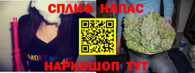 гашик Кинель