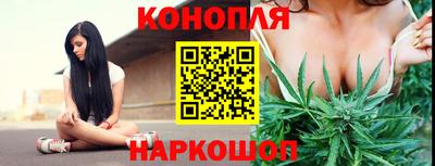прущая мука Кингисепп