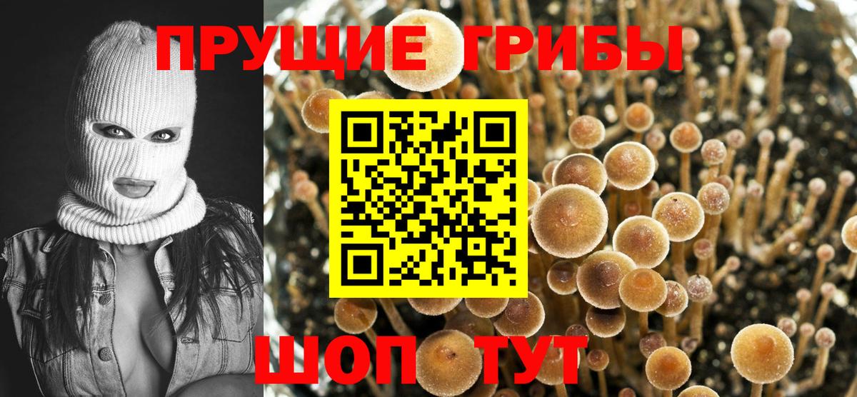 Галлюциногенные грибы Cubensis Мегион