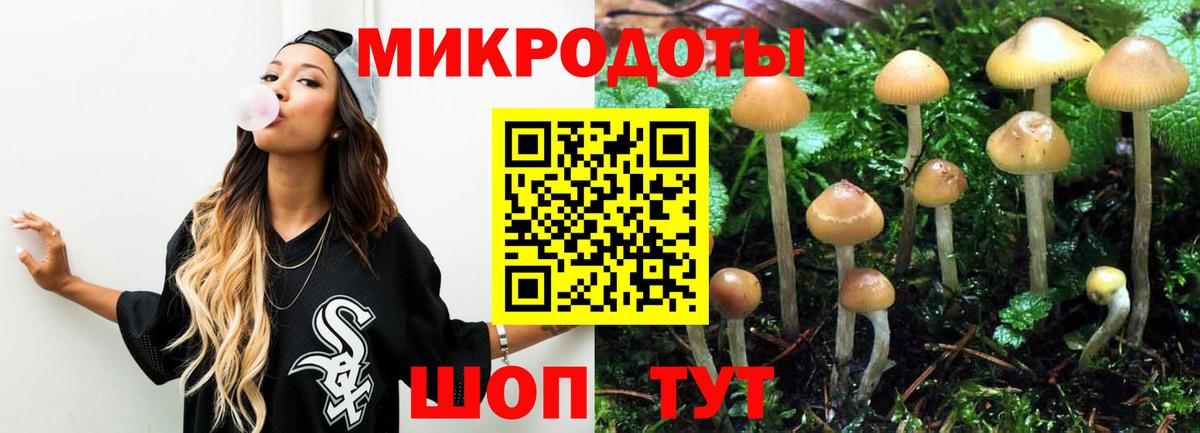 купить  сайты  Вход с VPN  Мегион  Галлюциногенные грибы GOLDEN TEACHER 